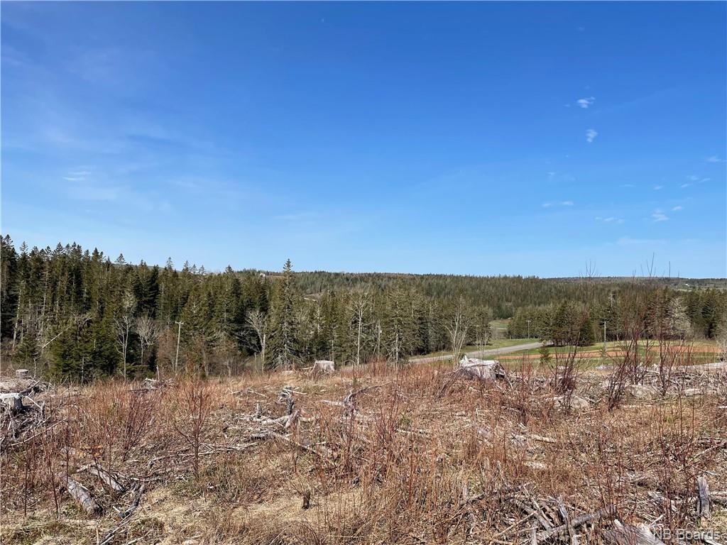 - McLure Road, Titusville, New Brunswick, Canada