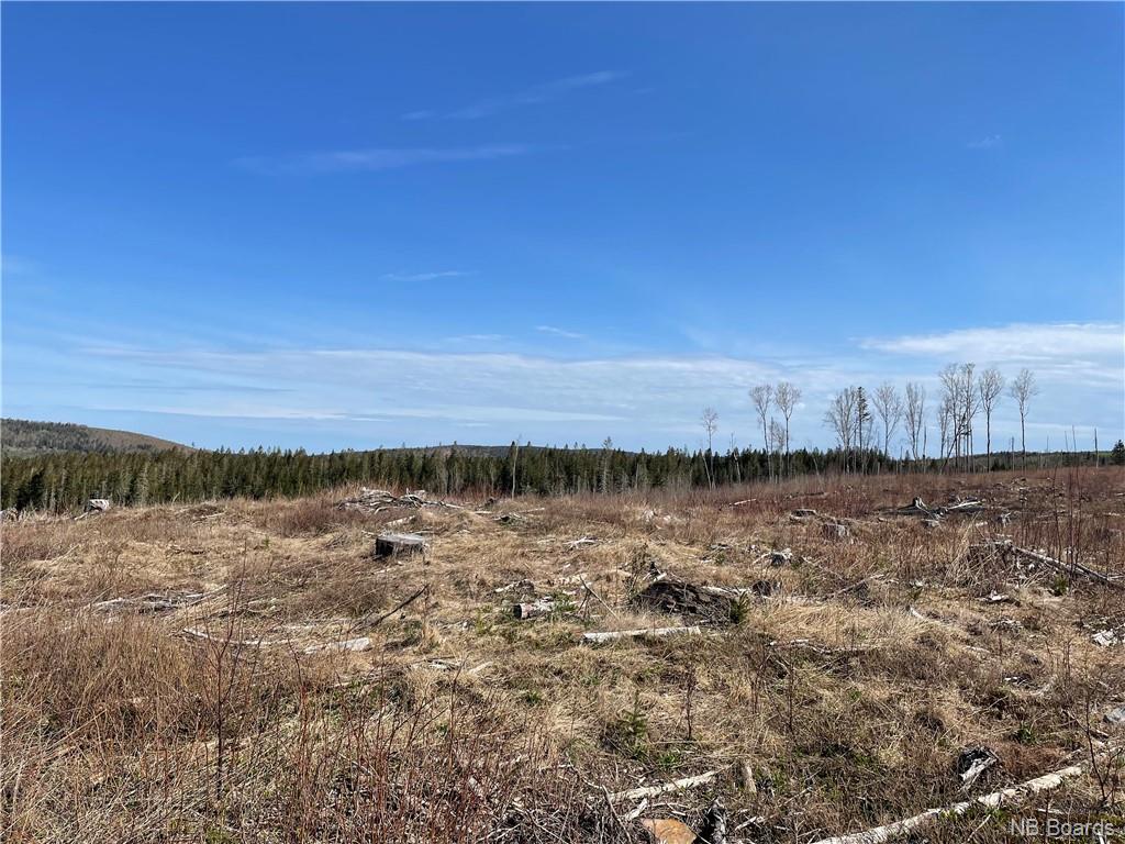 - McLure Road, Titusville, New Brunswick, Canada