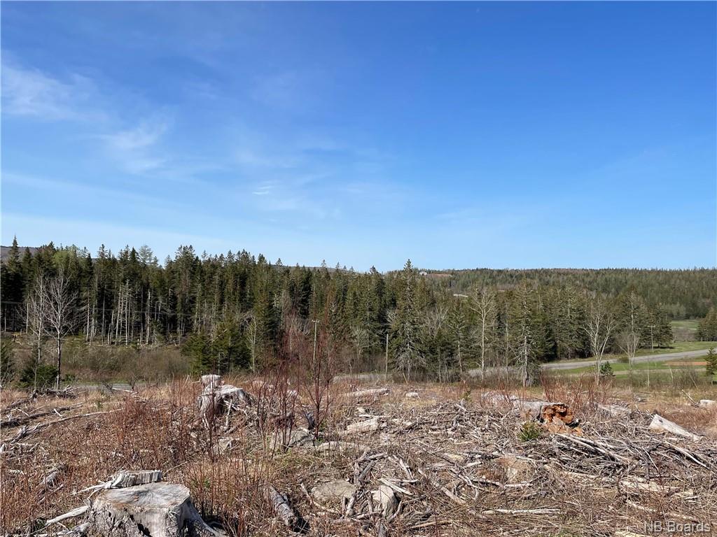 - McLure Road, Titusville, New Brunswick, Canada