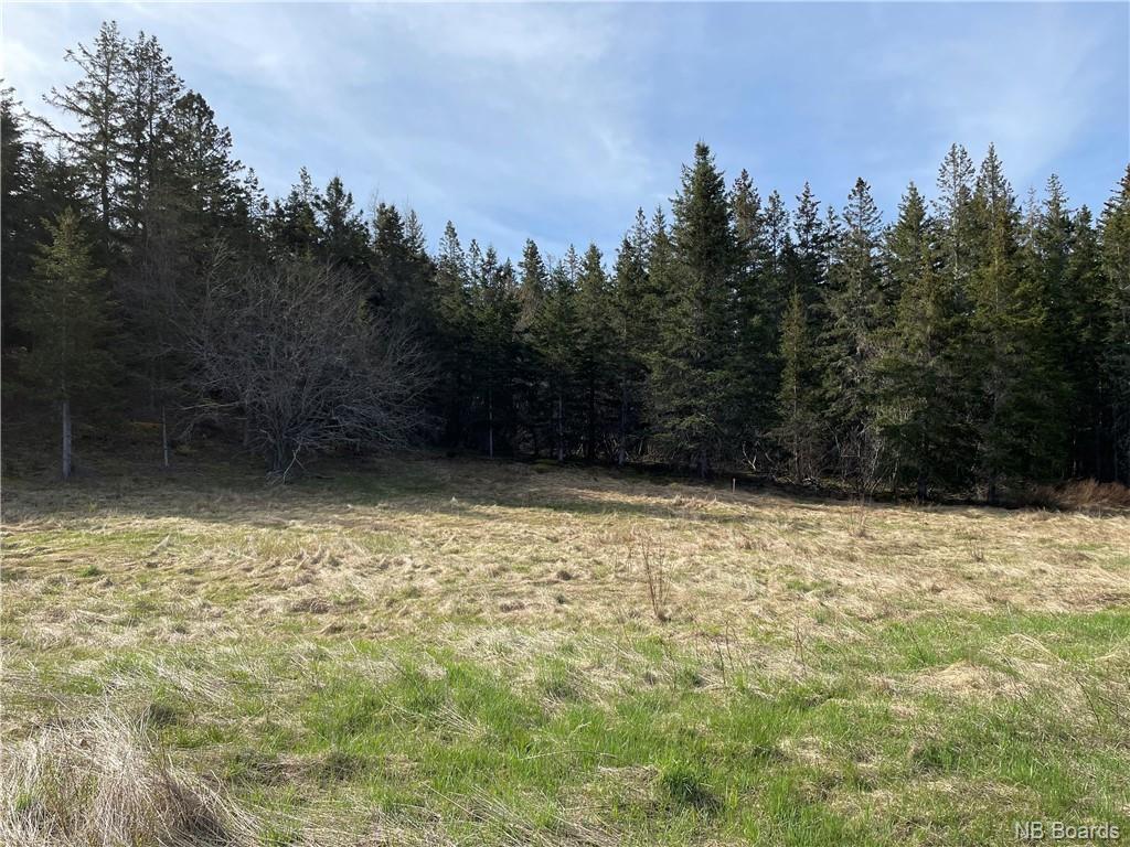 - Smith Road, Titusville, New Brunswick, Canada