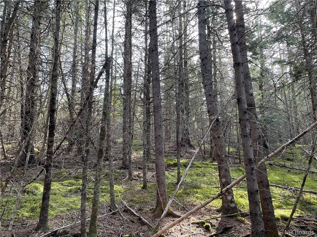 - Smith Road, Titusville, New Brunswick, Canada