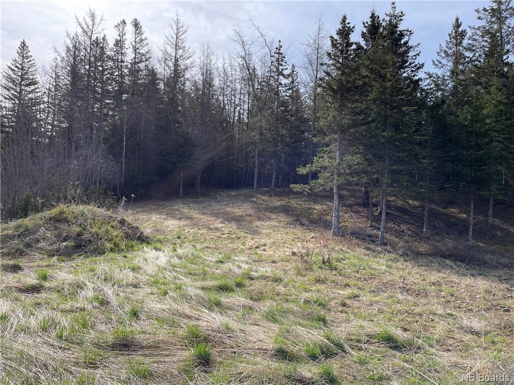- Smith Road, Titusville, New Brunswick, Canada