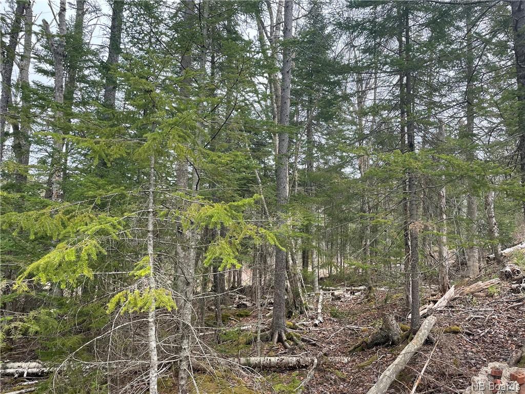 Lot 20-2 Gault Road, Saint John, New Brunswick, Canada
