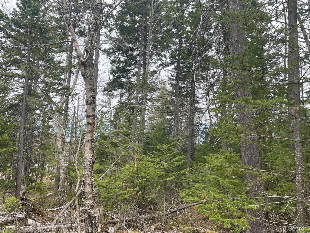 Lot 20-2 Gault Road, Saint John, New Brunswick, Canada