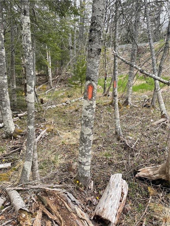 Lot 20-2 Gault Road, Saint John, New Brunswick, Canada