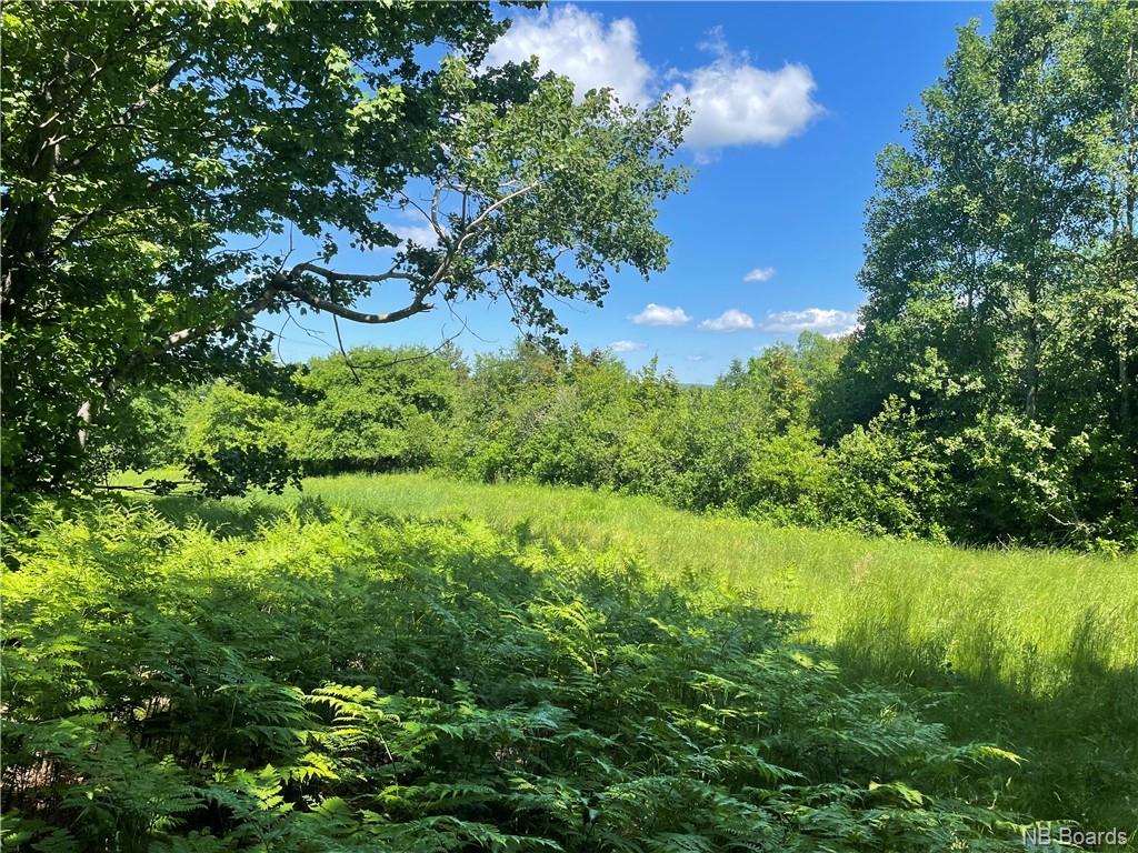 Lot B Hampton Road, Quispamsis, New Brunswick, Canada