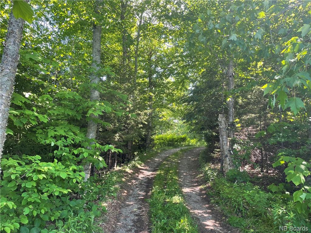 Lot B Hampton Road, Quispamsis, New Brunswick, Canada
