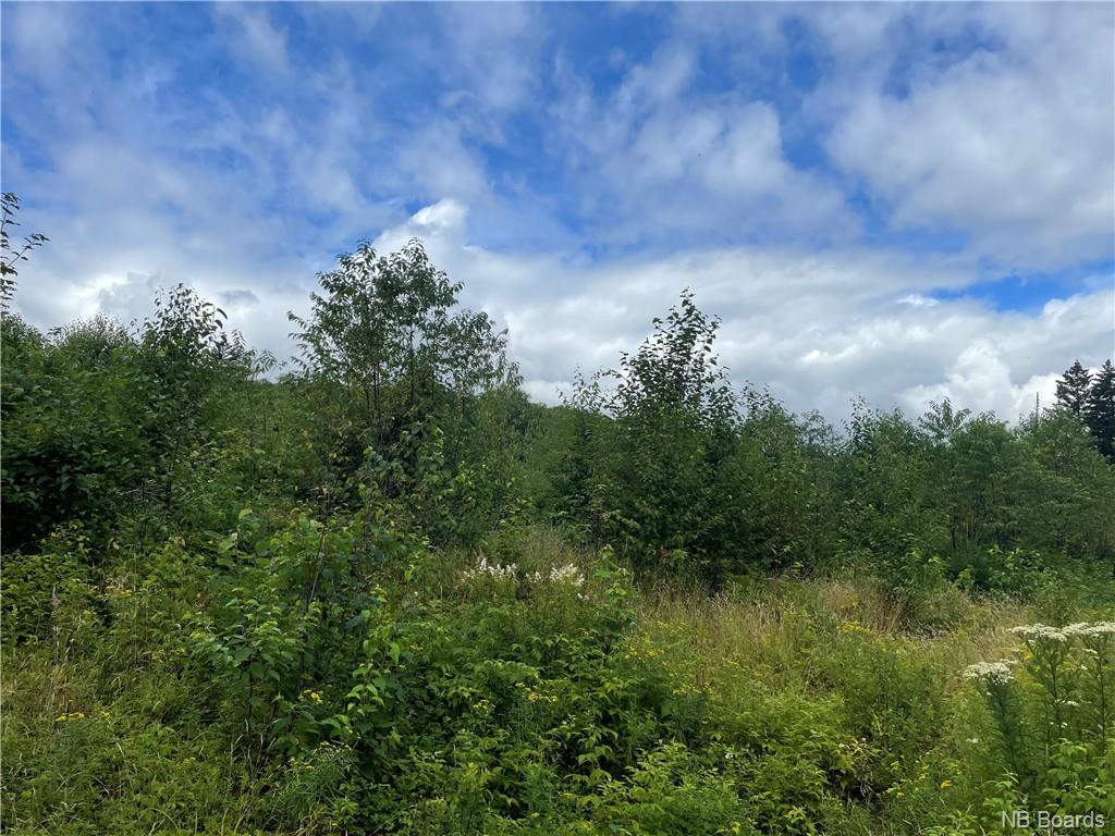 - Round Lake Road, Grand Bay-Westfield, New Brunswick, Canada