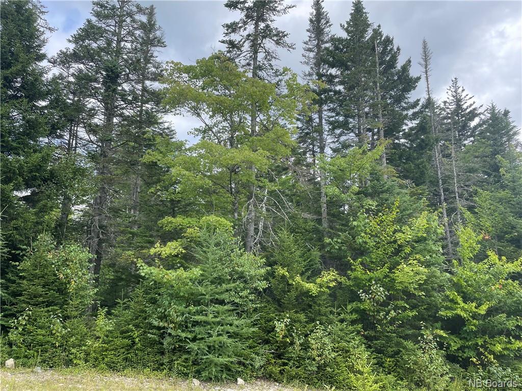 - Round Lake Road, Grand Bay-Westfield, New Brunswick, Canada