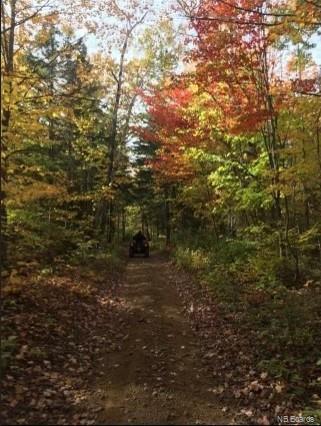10948 Route 114, South Branch, New Brunswick, Canada