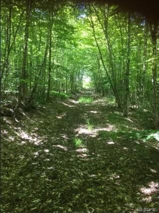 10948 Route 114, South Branch, New Brunswick, Canada