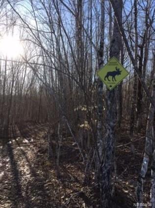 10948 Route 114, South Branch, New Brunswick, Canada