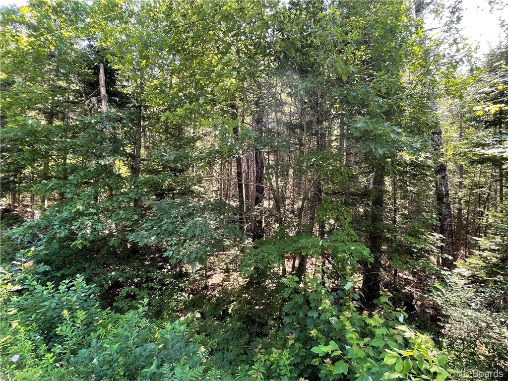 Lot 95-2 Route 855, Bloomfield, New Brunswick, Canada