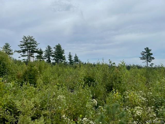 - Dufferin Road, Chipman, New Brunswick, Canada