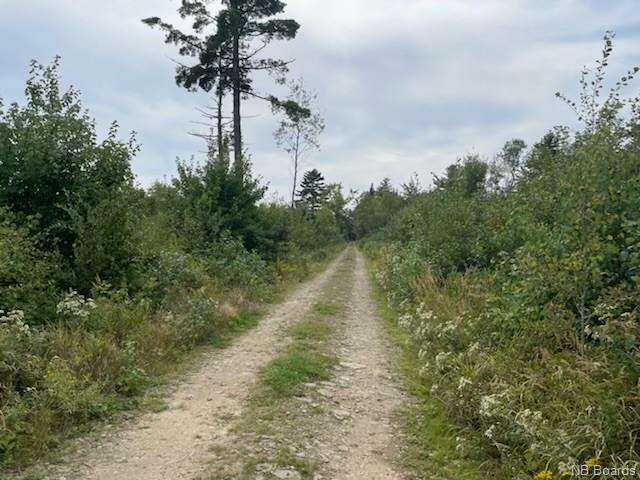 - Dufferin Road, Chipman, New Brunswick, Canada