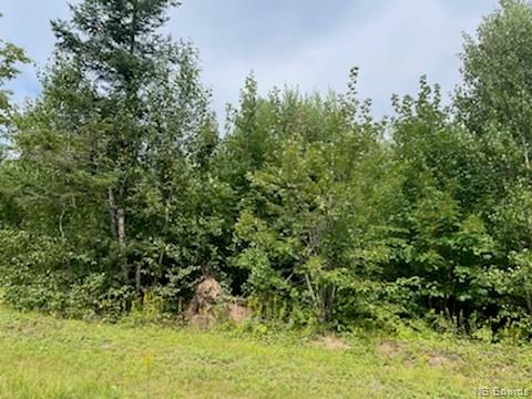 - Dufferin Road, Chipman, New Brunswick, Canada