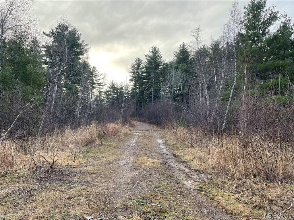 Lot 1 Route 105, Youngs Cove, New Brunswick, Canada