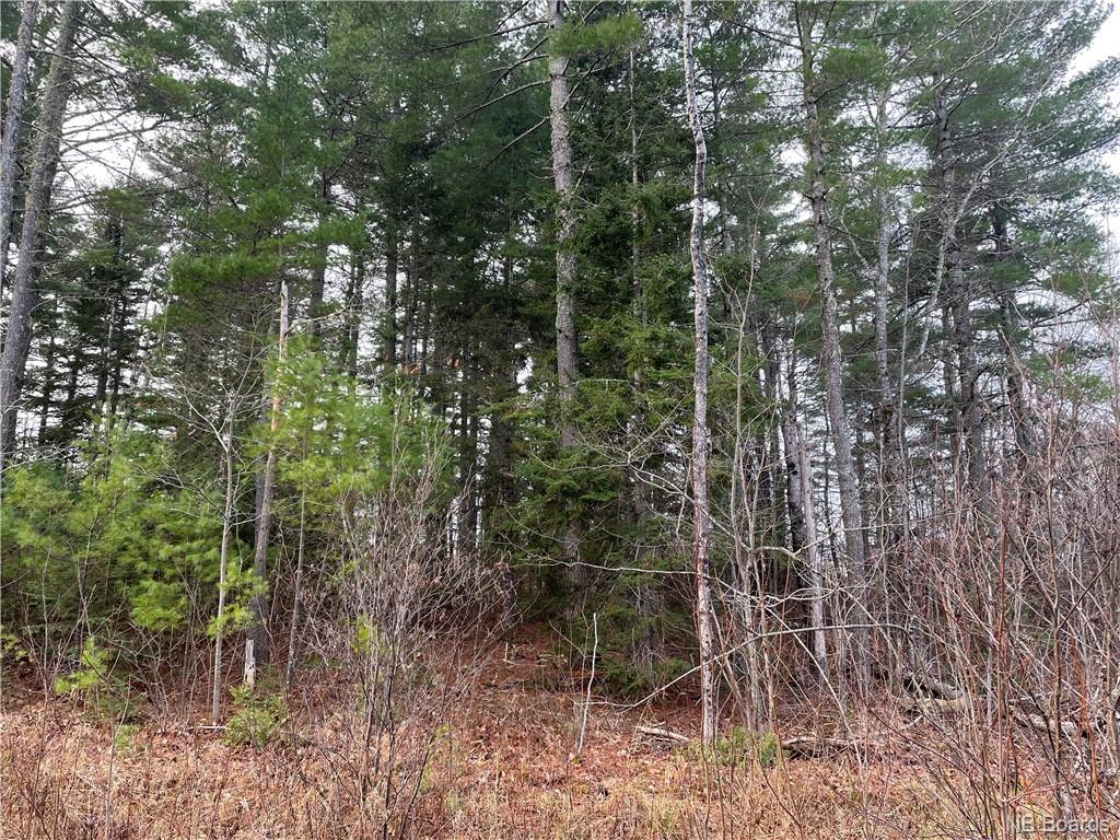 Lot 1 Route 105, Youngs Cove, New Brunswick, Canada