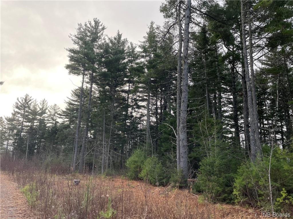 Lot 1 Route 105, Youngs Cove, New Brunswick, Canada