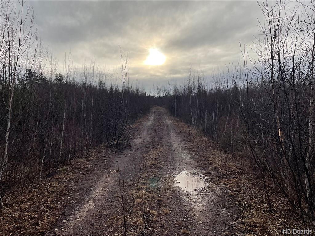 Lot 2 Route 105, Youngs Cove, New Brunswick, Canada