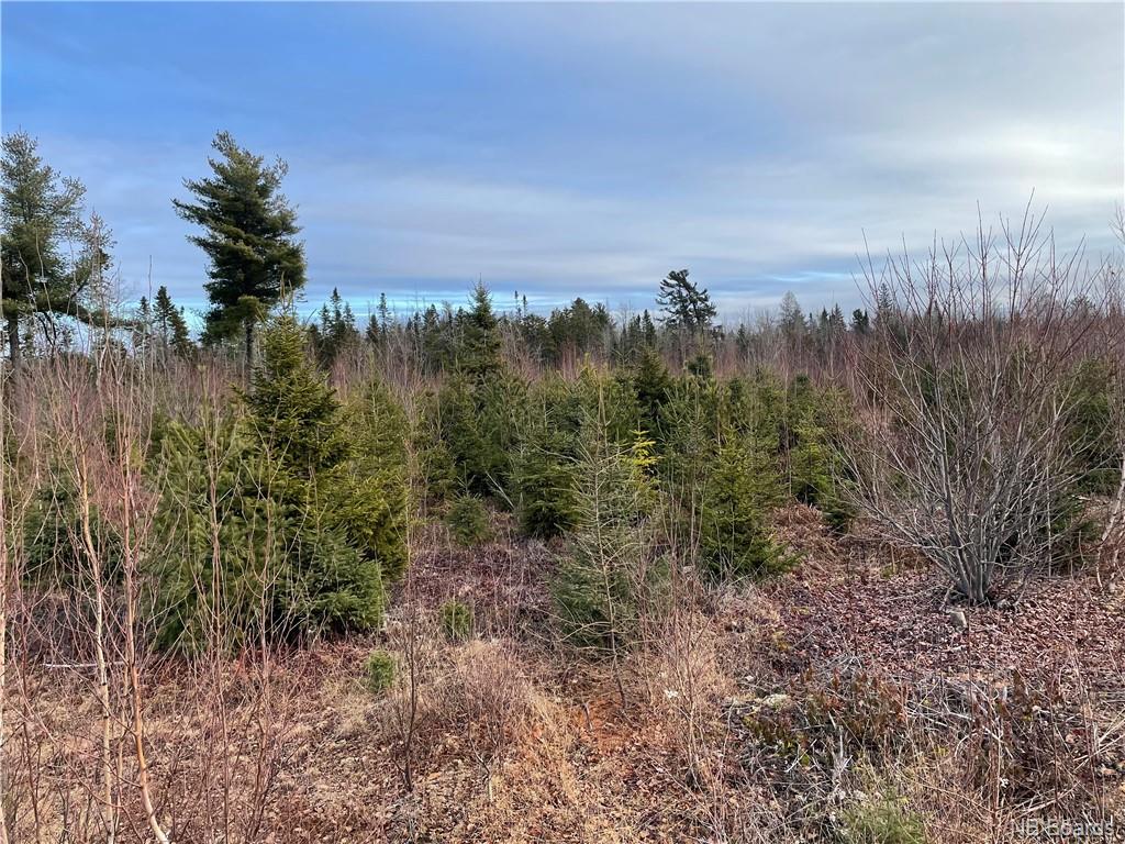 Lot 2 Route 105, Youngs Cove, New Brunswick, Canada