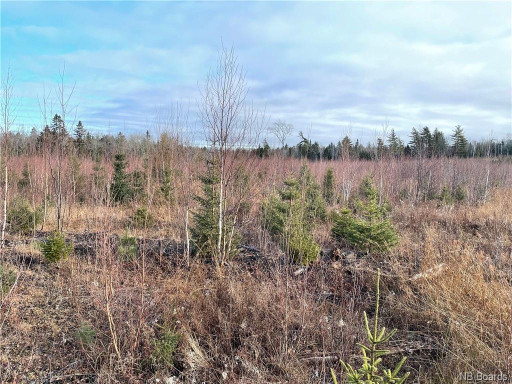 Lot 2 Route 105, Youngs Cove, New Brunswick, Canada