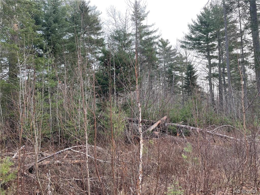 Lot 2 Route 105, Youngs Cove, New Brunswick, Canada