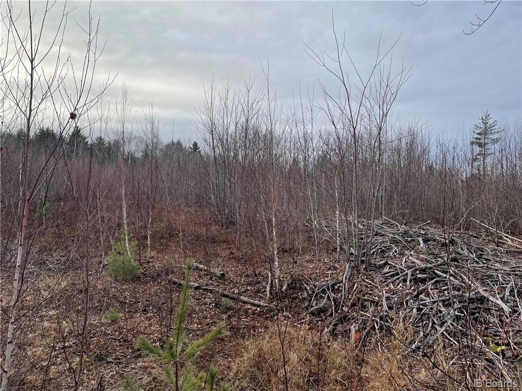 Lot 2 Route 105, Youngs Cove, New Brunswick, Canada