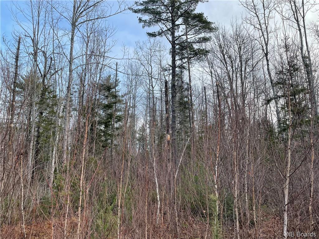 Lot 2 Route 105, Youngs Cove, New Brunswick, Canada