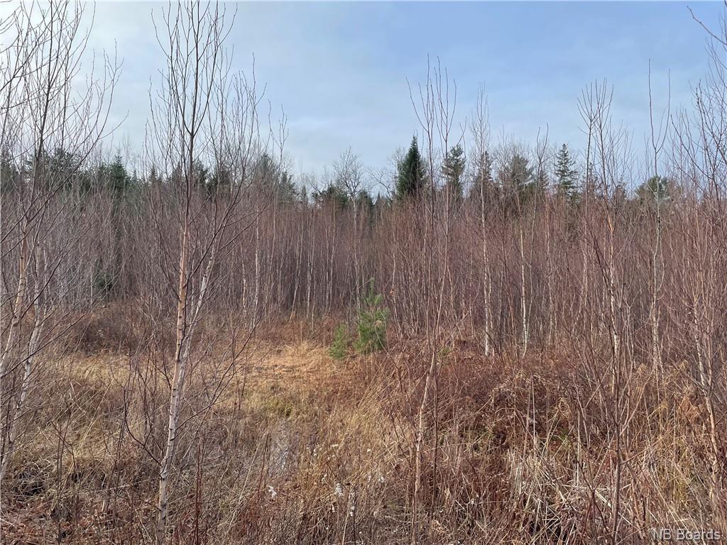 Lot 2 Route 105, Youngs Cove, New Brunswick, Canada