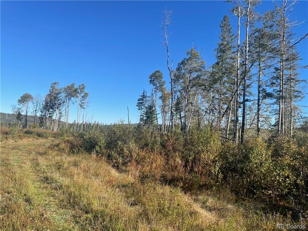 Lot 3 McLure Road, Titusville, New Brunswick, Canada