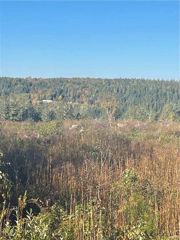 Lot 3 McLure Road, Titusville, New Brunswick, Canada