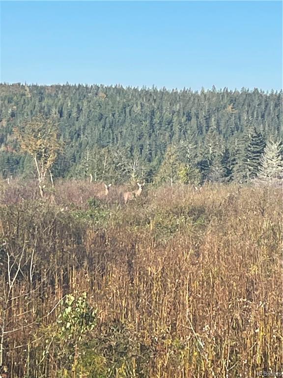 Lot 3 McLure Road, Titusville, New Brunswick, Canada