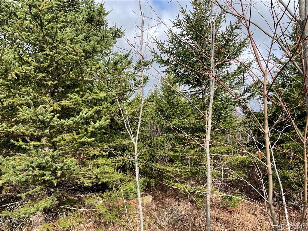 Lot 1 Thompson Road, Kierstead Mountain, New Brunswick, Canada