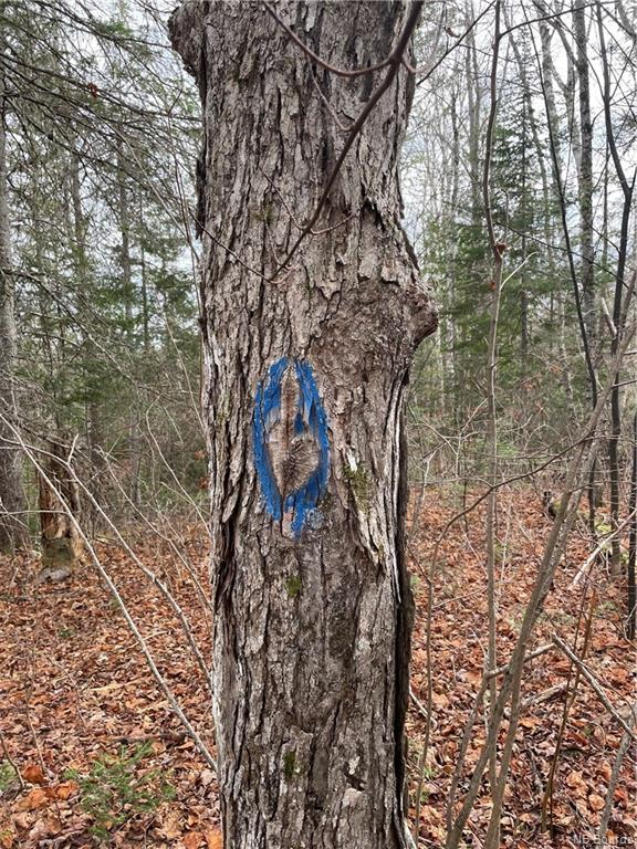 Lot 1 Thompson Road, Kierstead Mountain, New Brunswick, Canada
