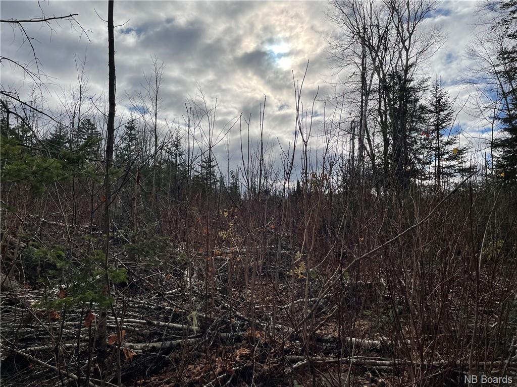 Lot 2 Thompson Road, Kierstead Mountain, New Brunswick, Canada