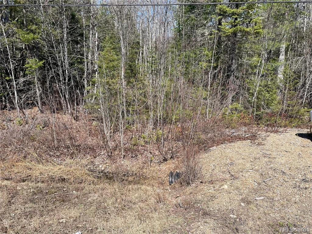 Lot 2 Route 10, Youngs Cove, New Brunswick, Canada