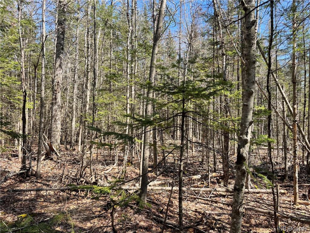 Lot 2 Route 10, Youngs Cove, New Brunswick, Canada