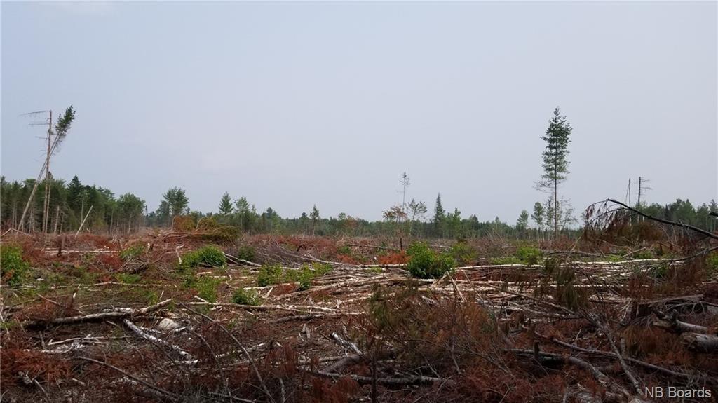 Lot 3-101 Sunpoke Road, Rusagonis, New Brunswick, Canada