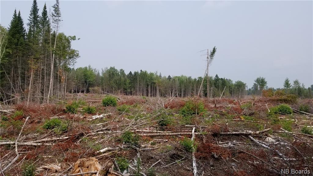 Lot 3-101 Sunpoke Road, Rusagonis, New Brunswick, Canada