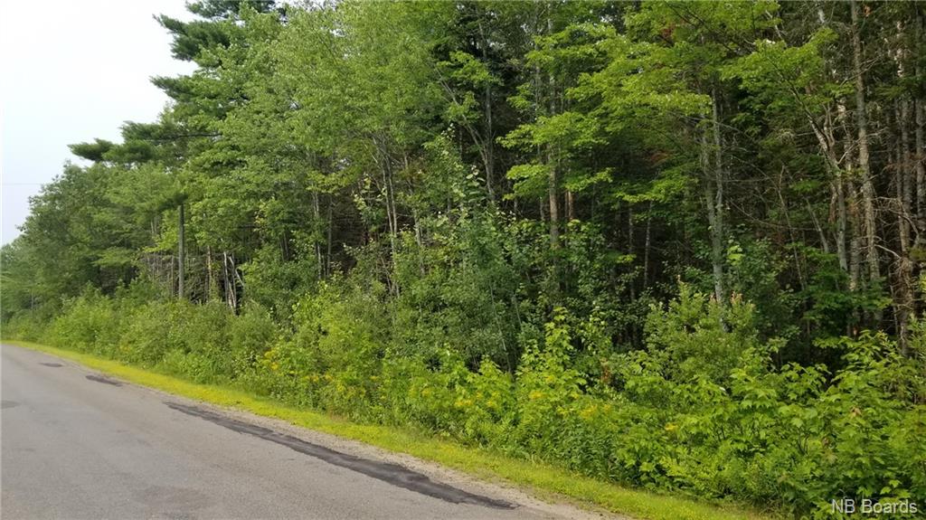 Lot 3-101 Sunpoke Road, Rusagonis, New Brunswick, Canada