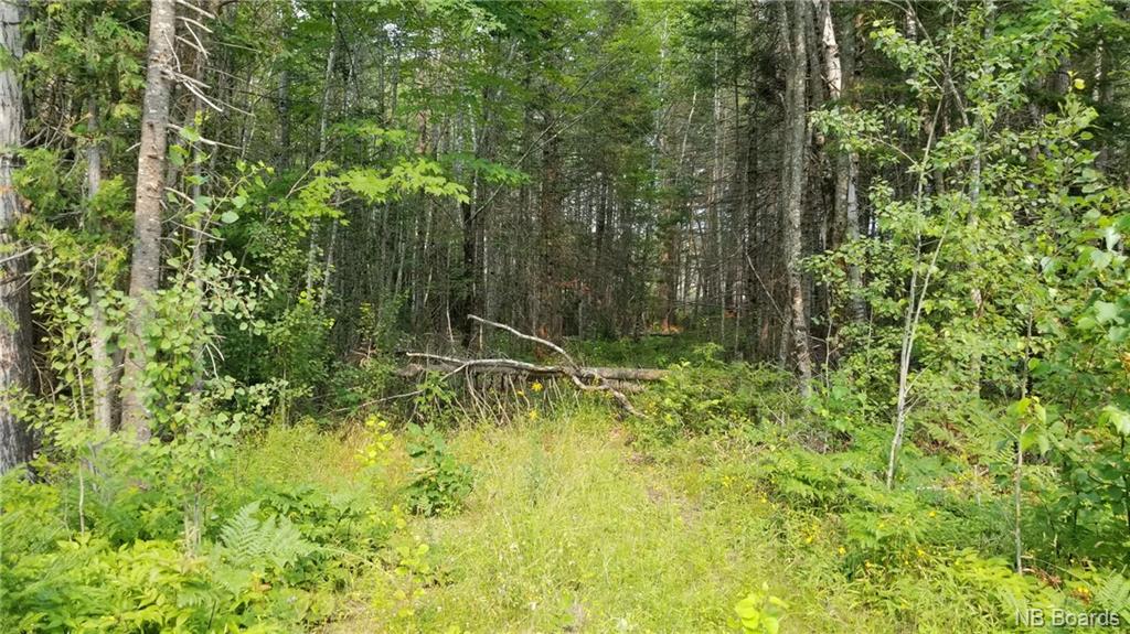 Lot 3-101 Sunpoke Road, Rusagonis, New Brunswick, Canada