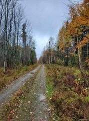 LOT Gullison Lane, Scotch Lake New Brunswick, Canada