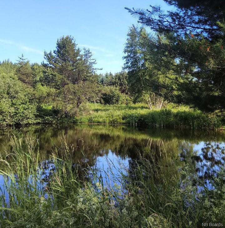 1428 850 Route, Kiersteadville, New Brunswick, Canada