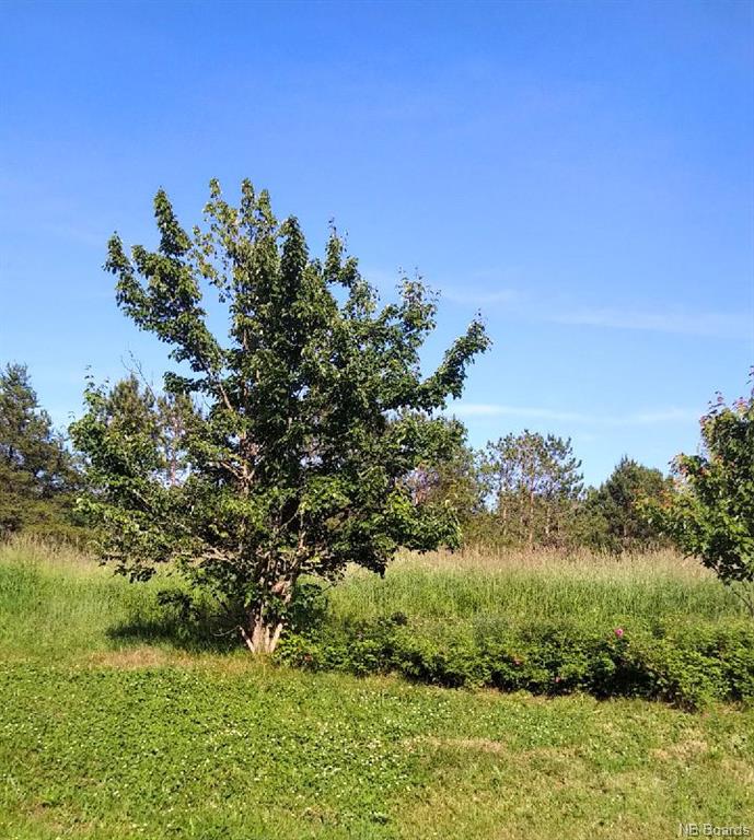 1428 850 Route, Kiersteadville, New Brunswick, Canada