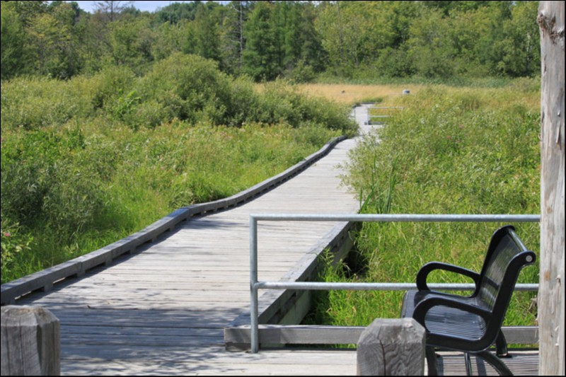 LOT 53, WINDOVER DRIVE, Minden, Ontario, Canada