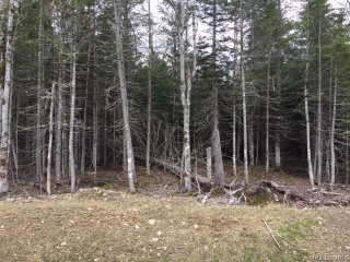 Lot 11-10 Copperhill Lane, Killarney Road New Brunswick, Canada