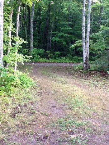 57 Fire Route 44, Trent Lakes Ontario