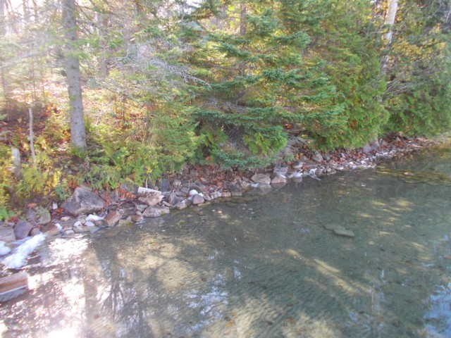 57 Fire Route 44, Trent Lakes Ontario