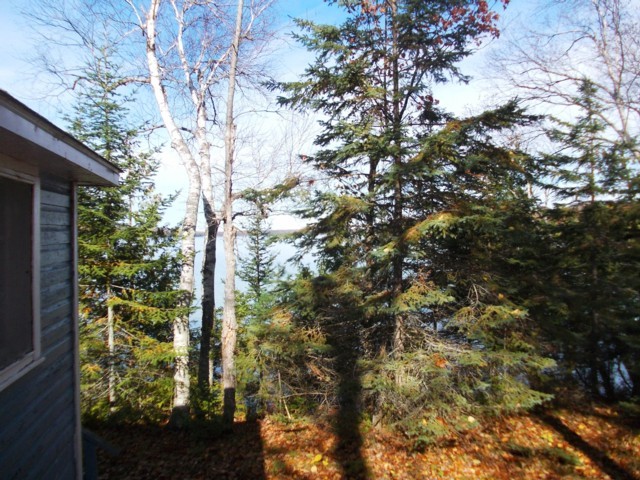 57 Fire Route 44, Trent Lakes Ontario
